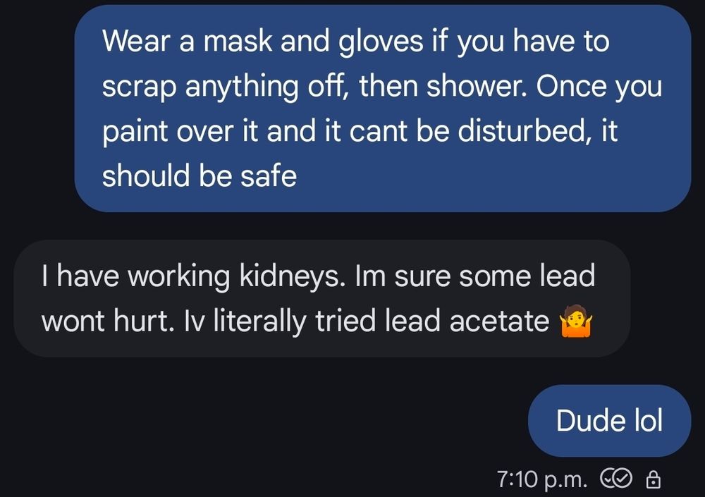 Me: Wear a mask and gloves if you have to scrap anything off, then shower. Once you paint over it and it cant be disturbed, it should be safe

Kid1: I have working kidneys. Im sure some lead wont hurt. Iv literally tried lead acetate

Me: Dude lol

