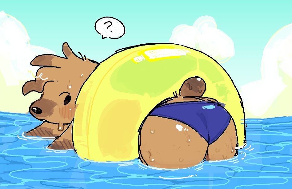 Brown dog bent over through an inner tube in the water, their ass in blue trunks facing the camera