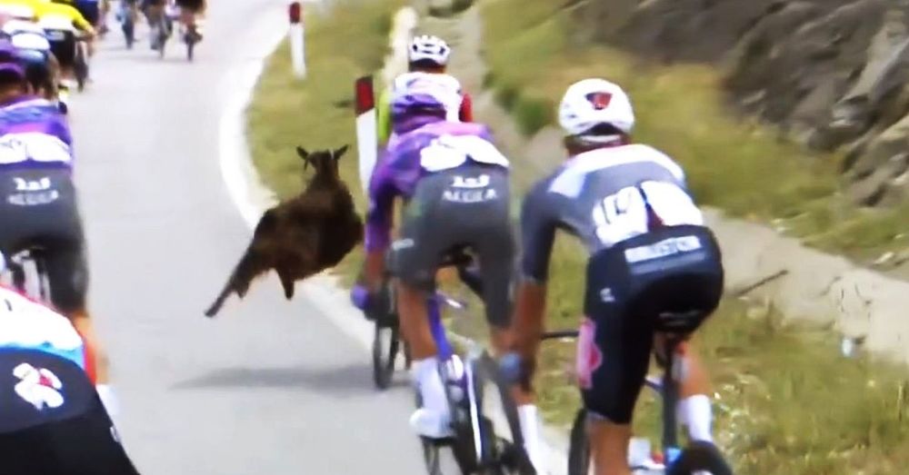 Cykel: Här går geten till attack i Giro d'Italia – i Albanien