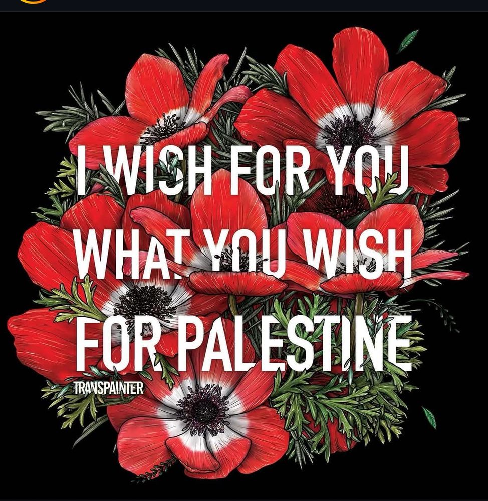 Image of art of many poppy flowers and the text “I wish for you what you wish for Palestine” by TransPainter 