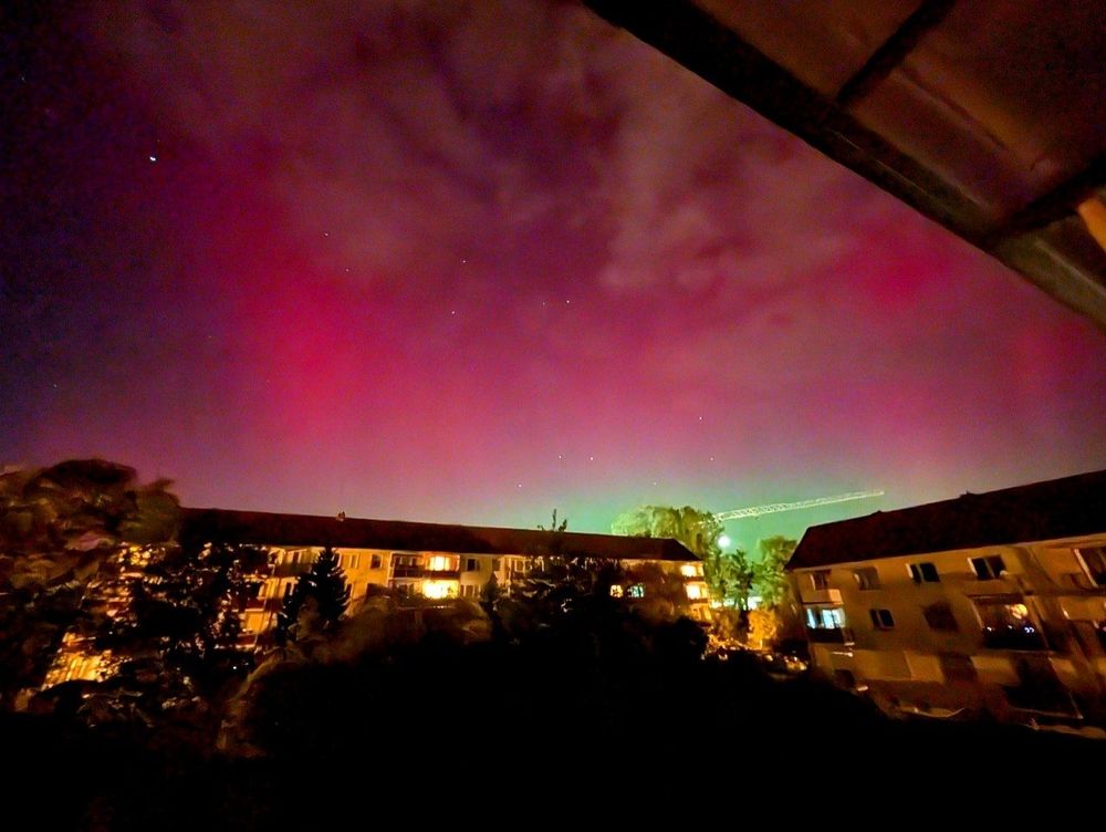 Pinke Polarlichter über ein paar Wohnhäusern und Bäumen
