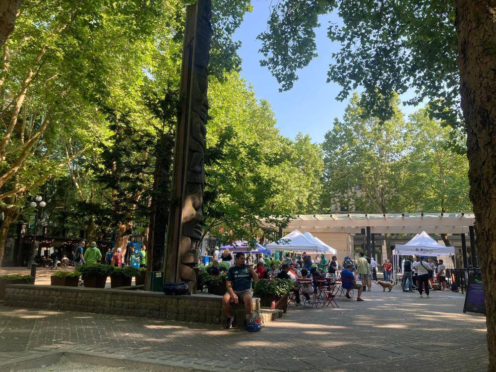 A picture of fans enjoying the shade under the trees in Pioneer Square. 