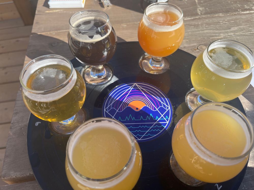 Beer flight with IPAs, wheat beers, and an oatmeal stout. 