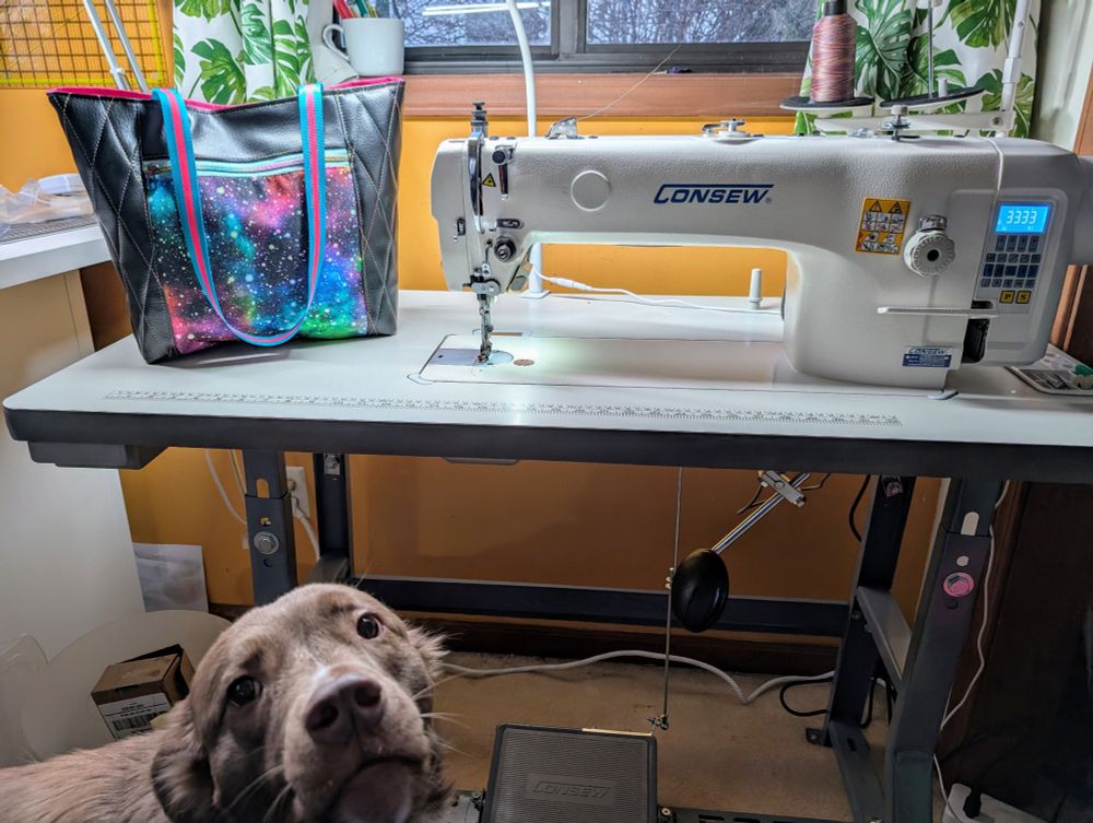 A photo of the tote from photo one sitting on the industrial sewing machine used to make it. A brown dog appears at the forefront lower right corner. 