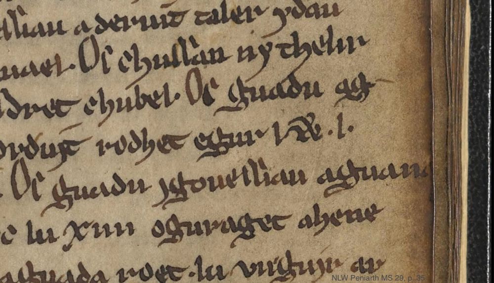 NLW Peniarth MS 29, p. 35. A cropped image of the page shows several lines of text with a spindly w just right of center.