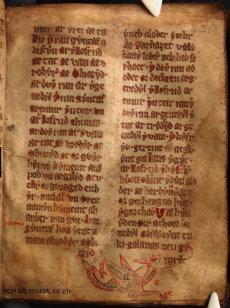 NLW MS 20143A, fol. 21r, showing two columns of text each of which ends with a run-on. At the bottom of the page, a two-headed wyvern outlined in red catches a run-on in each of its mouths.