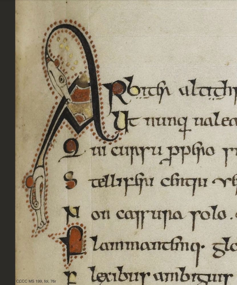 Detail of a decorated initial at the opening of Ieuan ap Sulien’s poem about his family, Carmen Iohannis de uita et familia Sulgeni, in Cambridge, Corpus Christi College MS 199. The initial features the heads of two beasts, one of which bites the capital A. It is touched in red and gold. The manuscript was copied by Ieuan at the behest of his father Sulien.
