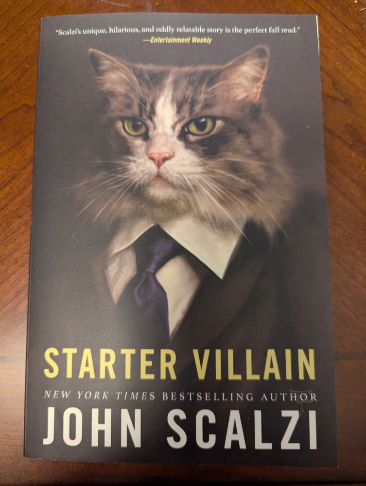 Headshot of a fluffy grey and white cat wearing a suit and tie.