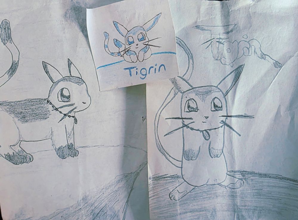 Original drawings of Tigrin from 25 years ago I just found crumpled in a drawer