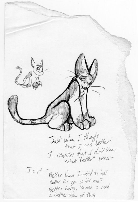 Tigrin with a previous version of himself with some Hoobastank lyrics (