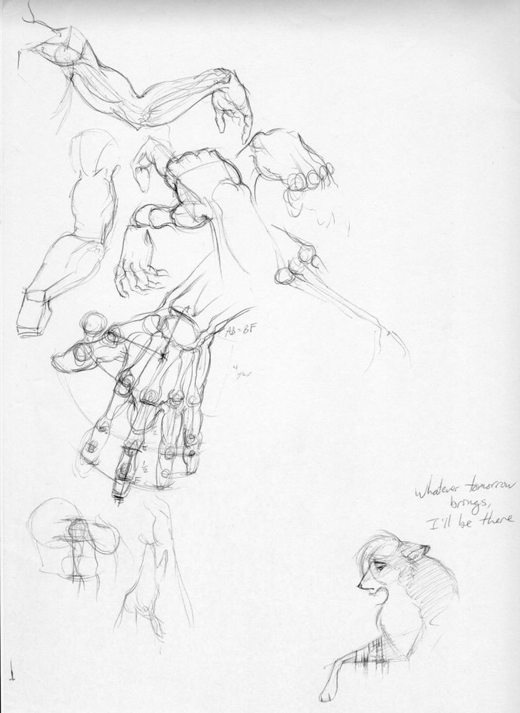 Some anatomy drawings of hands and arms, probably referenced, and a sketch of Tala Wolf with some bleeding cuts and Incubus lyrics