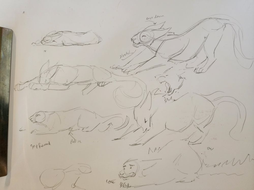 Sketches of a large cat getting up and stretching