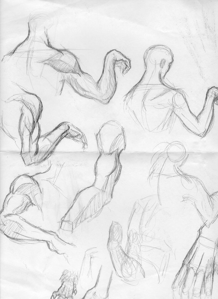 Probably referenced anatomy drawings of arms
