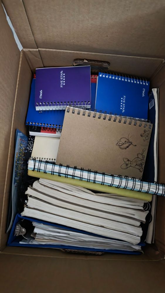 Moving box crammed full of small sketchbooks 