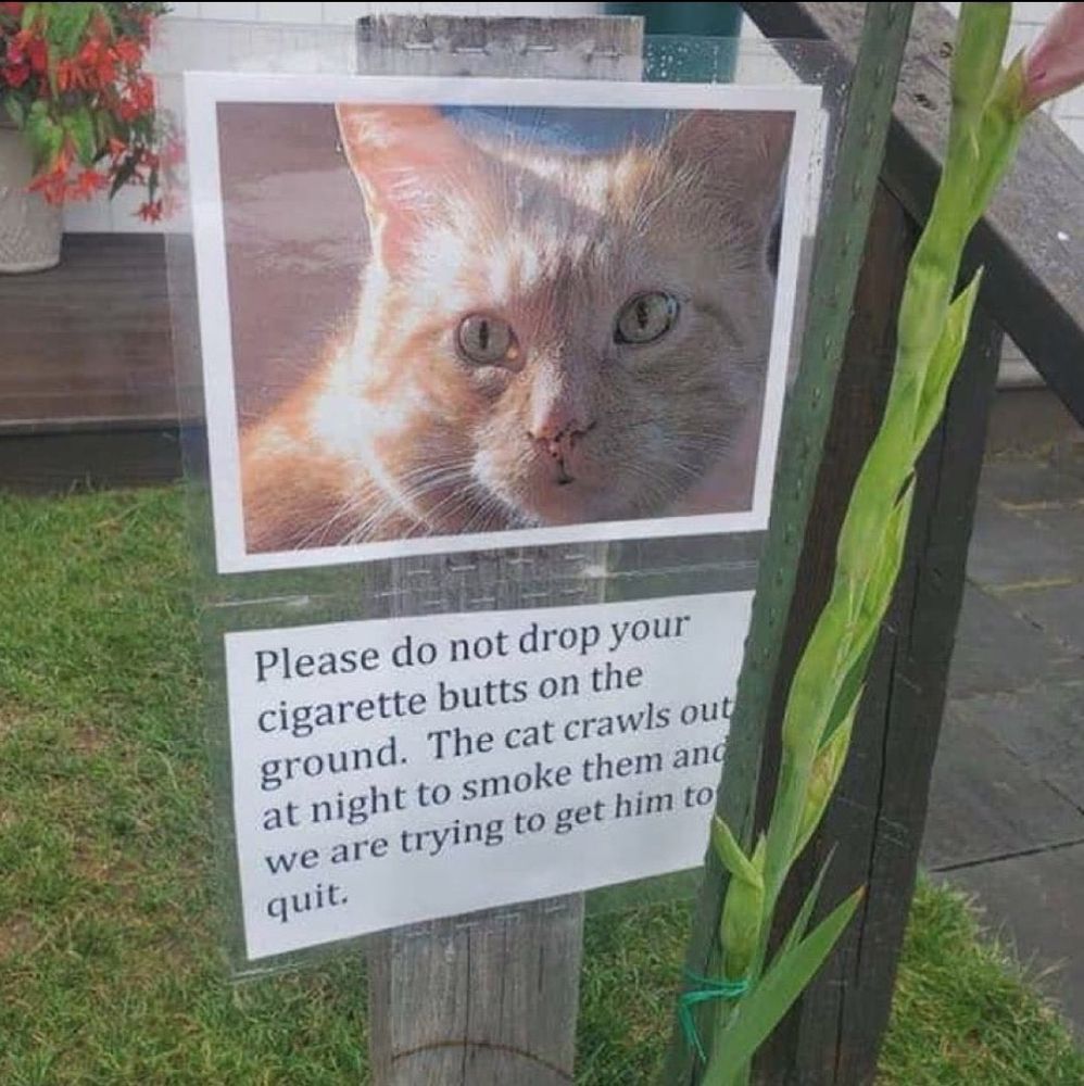 A sign of a photo of a cat with the text under it saying "Please do not drop your cigarette butts on the ground. The cat crawls out at night to smoke them and we are trying to get him to quit."