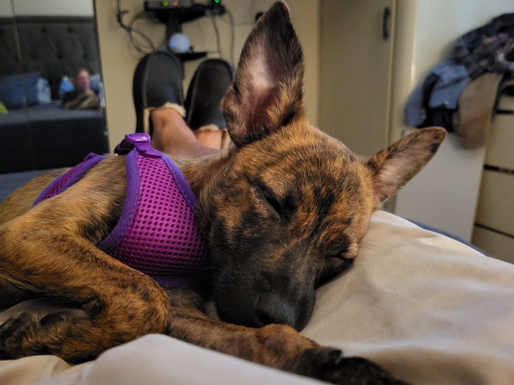 That would be my feet at the top of the photo.