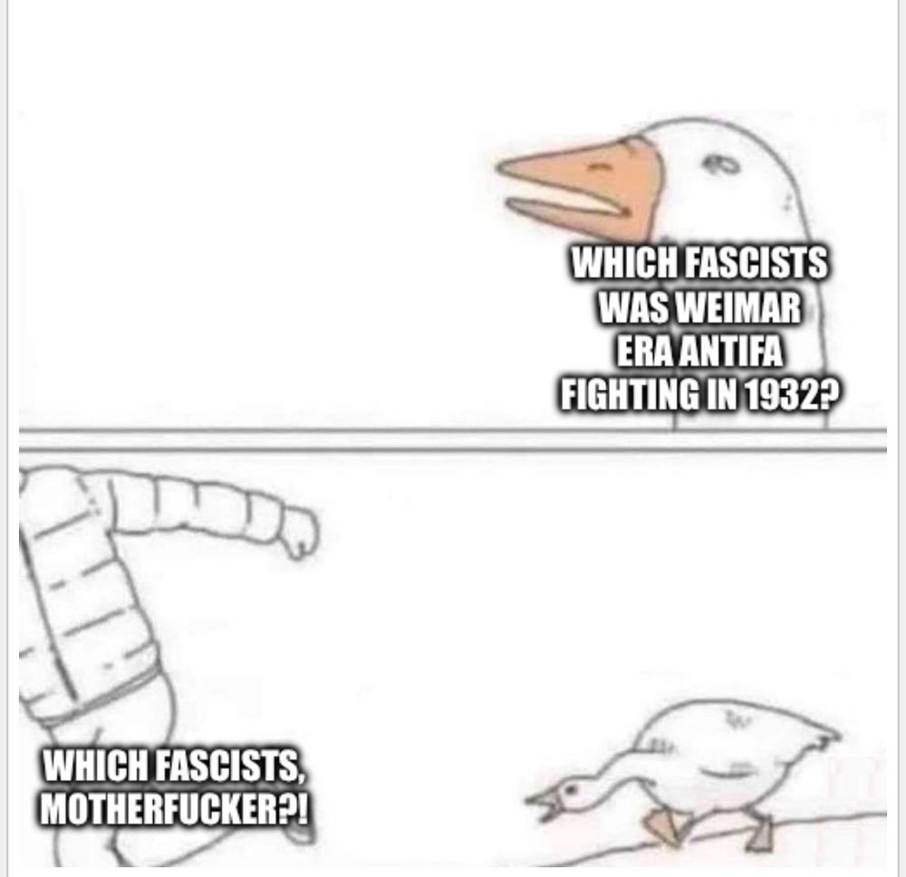 The angry goose meme, two panels 

top panel:
WHICH FASCISTS WAS WEIMAR
ERA ANTIFA
FIGHTING IN 1932?

bottom panel:
WHICH FASCISTS, MOTHERFUCKER?I