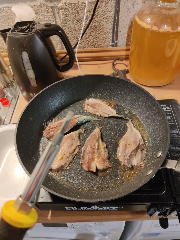 A close-up of a frying pan on a portable gas hob, with several sardines being cooked in oil. A hand holding a yellow-handled screwdriver hovers over the pan. In the background are a black electric kettle, a large glass jar filled with scrumpy, and a concrete wall.