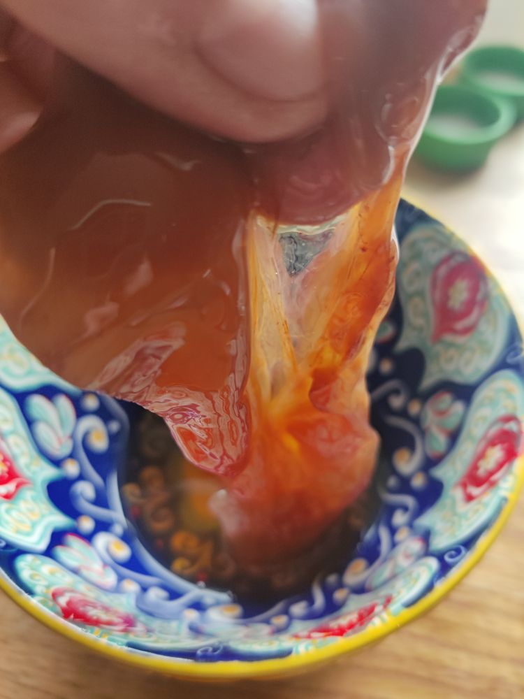 A vinegar 'mother' or scobie, a gelatinous brown mass, held above a colourful bowl.