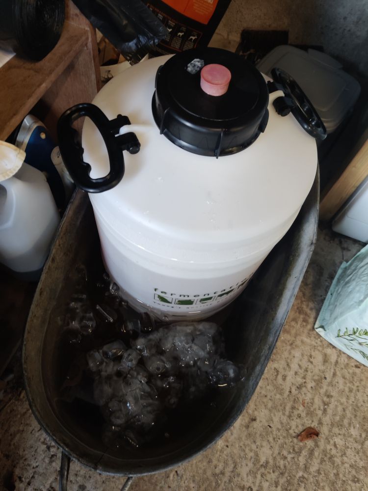 A fermentation bin in a bath of iced water.