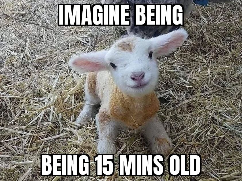 A cropped version of the OP's image with the meme text "imagine being 15 mins old" 