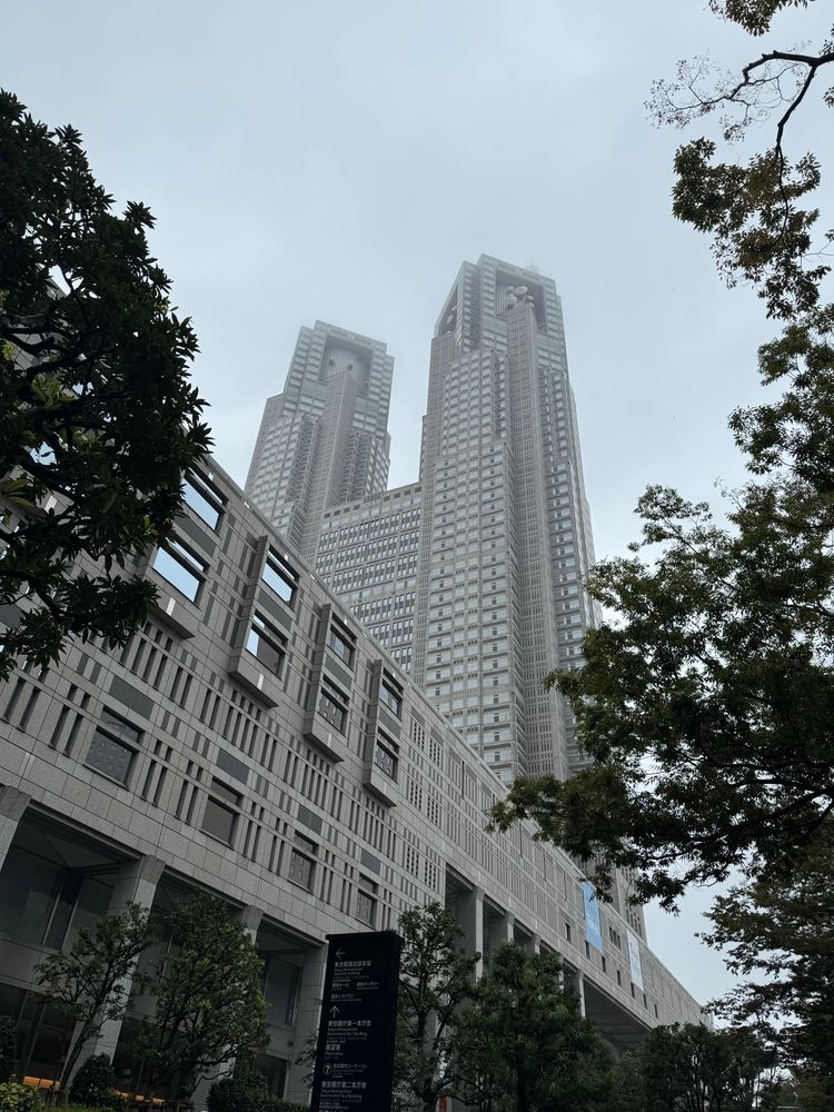 都庁を見上げている