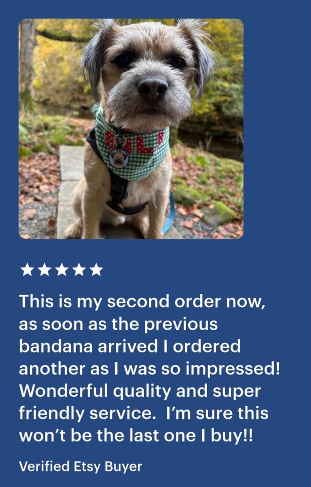 A screenshot of an Etsy review left in my shop, with a dark blue background and white text, plus a photograph of a border terrier wearing a personalised dog bandana by misheleneous