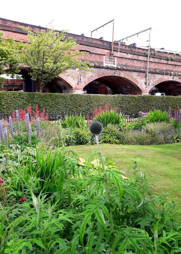 A beautifully maintained garden in Castlefield, central Manchester, that belongs to the Saul Hay Gallery. It sits alongside the railway bridge and the arches can be seen in the background