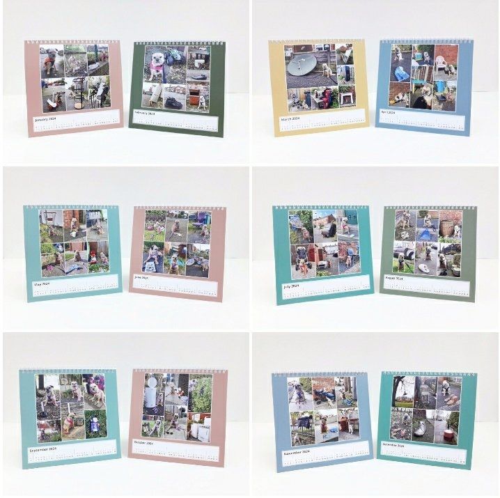 Collage of 6 pictures showing 12 months of heidi's random shit of Prestwich desk calender. Manchester