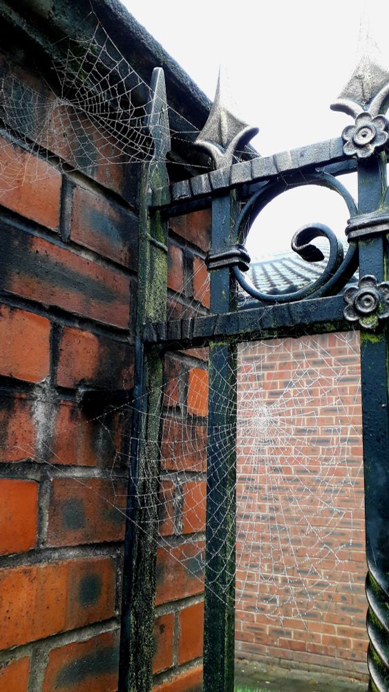 A close up colour shot of an orange brick gate post with black ornate railings supporting two dewy spider webs