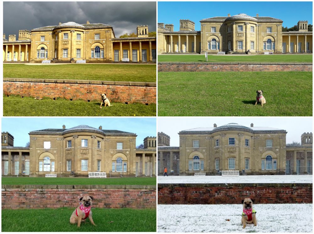 A collage of 4 colour photographs showing Heaton Hall in Heaton Park, Manchester through all four seasons of the year taken from roughly the same viewing spot. Heidi border terrier  is present in the foreground on each shot