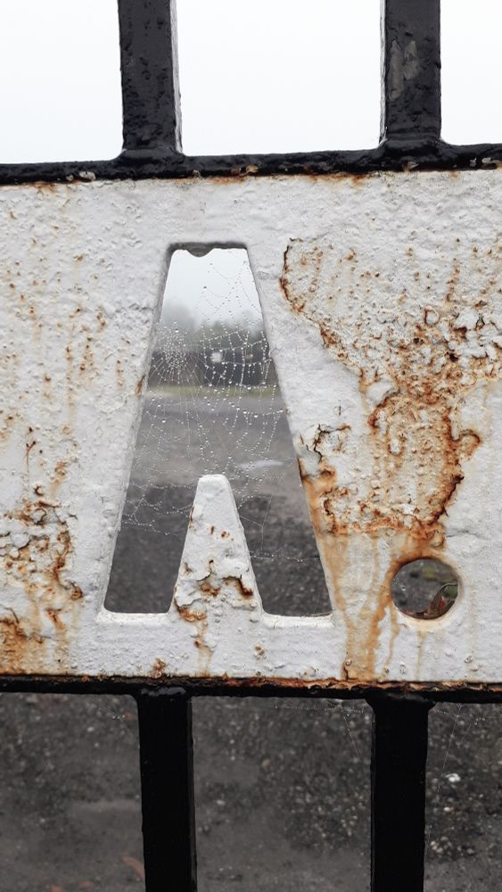 A letter A in a rusted metal gate at Prestwich Heys AFC. A spider has built its web its web in the gap