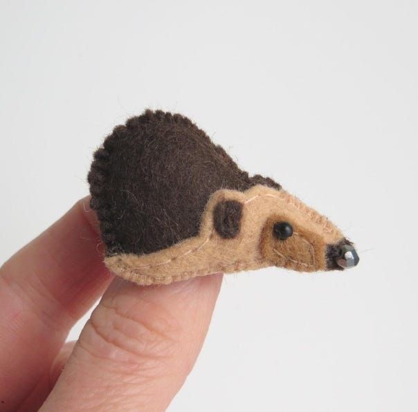 A handmade felt tortoise brooch held by misheleneous