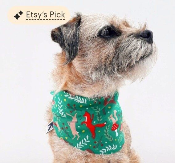 Heidi border terrier modelling a green woodland party animals print dog bandana by misheleneous