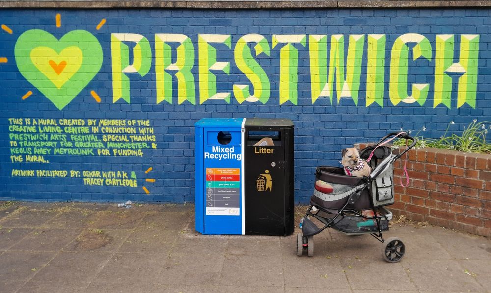 Heidi border terrier in her dog trolley parked next to a bin with a colourful street art mural behind her saying Prestwich