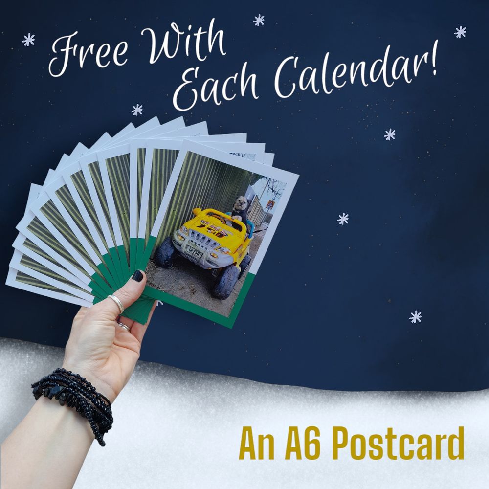 Heidi border terrier postcards held in a hand