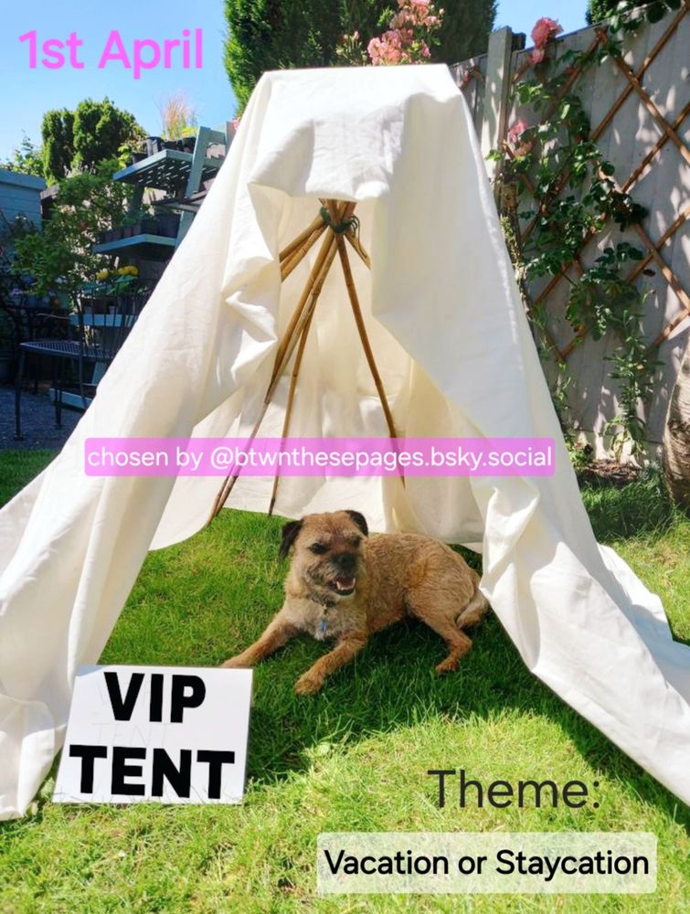 Heidi border terrier on a poster advertising #TerrierTuesday for 1st April and the Theme 'Vacation or Staycation' chosen by @btwnthesepages.bsky.social