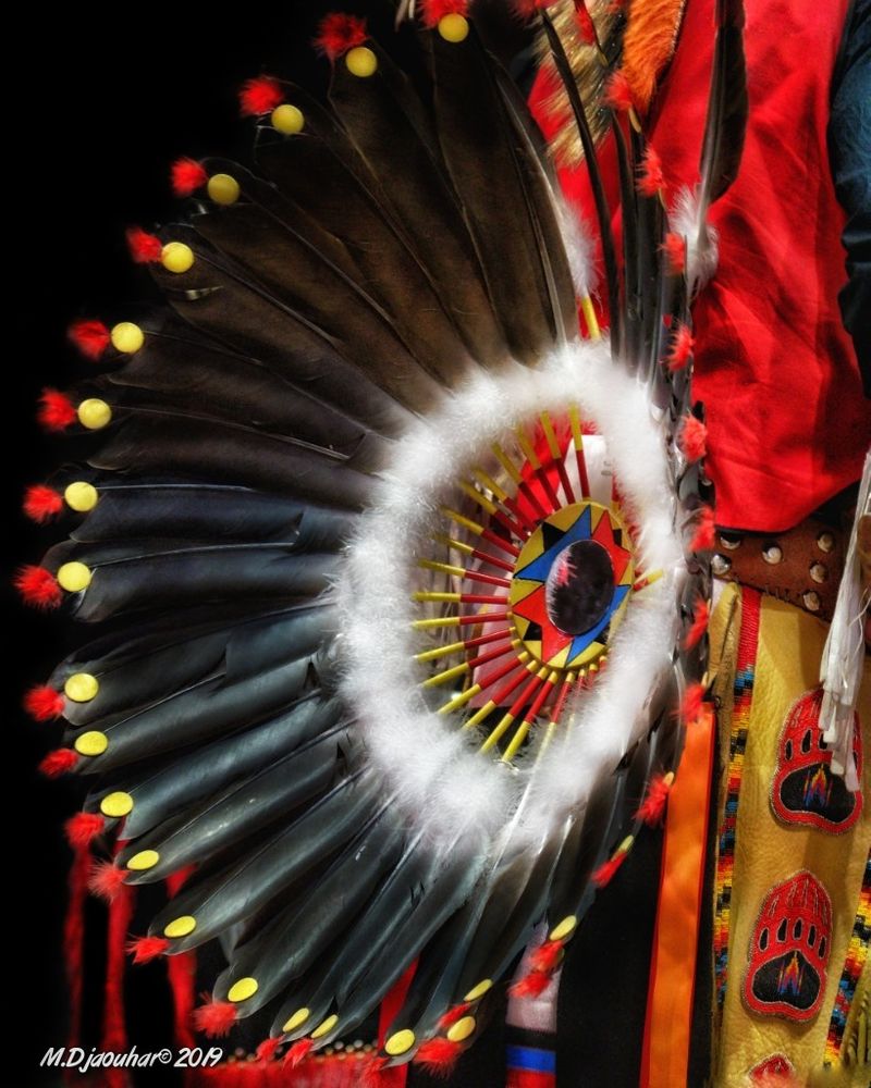The close-up moments captured, the regalia studies, the absolute beauty as seen thru the lens of #indigenous #artist #art #MDjaouhar #MDjaouharphotography

More of He Sapa Wacipi Na Oskate at: https://mdjaouhar.smugmug.com/He-Sapa-Wacipi-2019

#photographyisart #photographyislife #notyourmascot #wearestillhere 