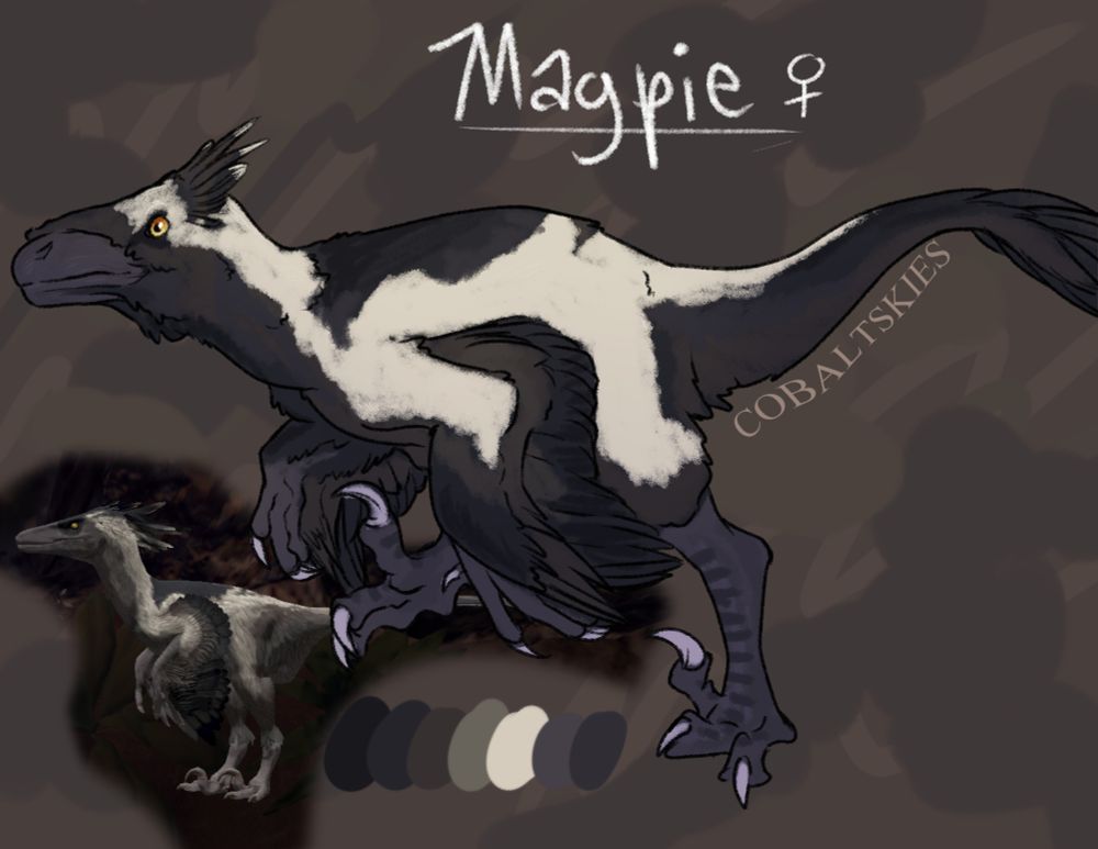 A full body illustration of a Saurornitholestes character named Magpie. She is black, grey and white much like the bird. There is a screenshot of a Path of Titans Deinonychus model with a very similar pattern, though the drawing is based on the real animal rather than the model.