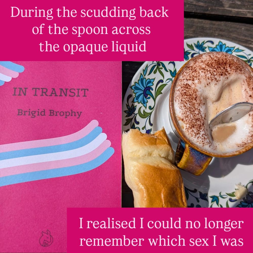 During the scudding back of the spoon across the opaque liquid I realised I could no longer remember which sex I was, text over lays a copy of In Transit, a cappuccino and a brioche