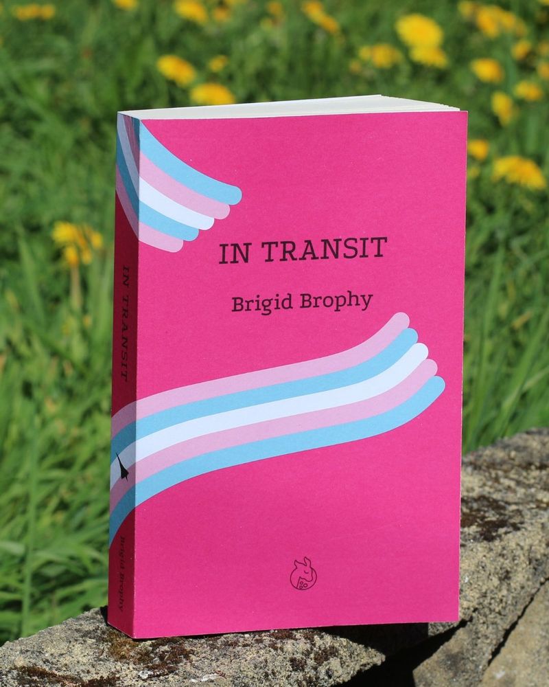 Copy of In Transit published by Lurid editions 