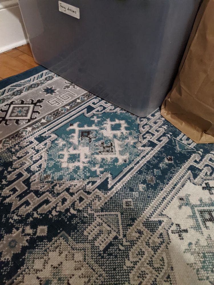 A blue patterned rug with a bin in the background, and no cat water fountain. 