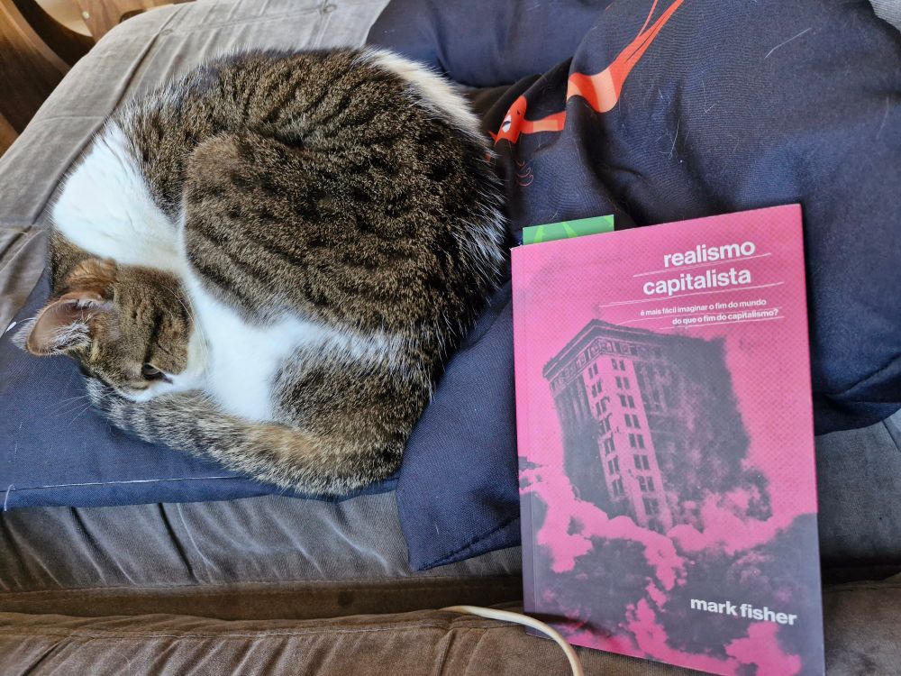 Foto do livro Realismo Capitalista do Mark Fisher ao lado do de um gato (Hobbes) tigrado de peito branco dormindo em forma de bolinha.