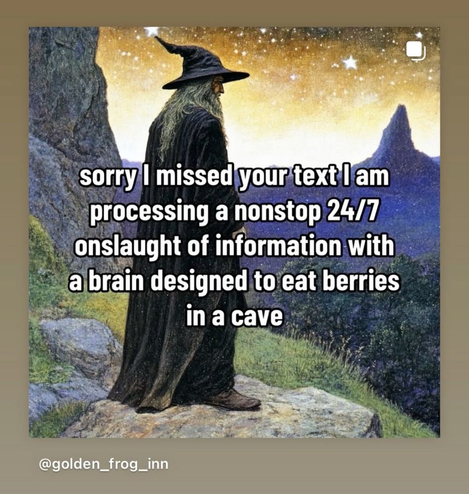 A picture of a wizard saying “sorry I missed your text I am processing a nonstop onslaught of information with a brain designed to eat berries in a cave”. From golden_frog_inn on Instagram 