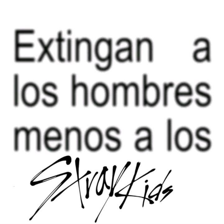 extingan a los hombres menos a los Stray Kids