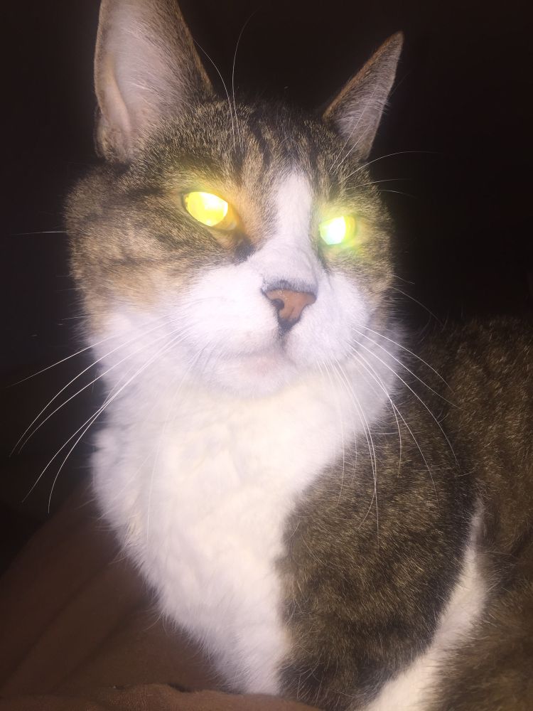 Initiating attack mode in 3,2,1…