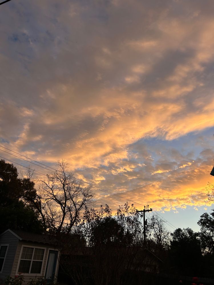 Image of a casita in the backyard. The sky is radiant with a Texas sunrise, clear blue peeking out from fluffy white clouds, everything washed in golden sunlight. The black silhouette of power lines cuts a dramatic figure against the outlines of trees.