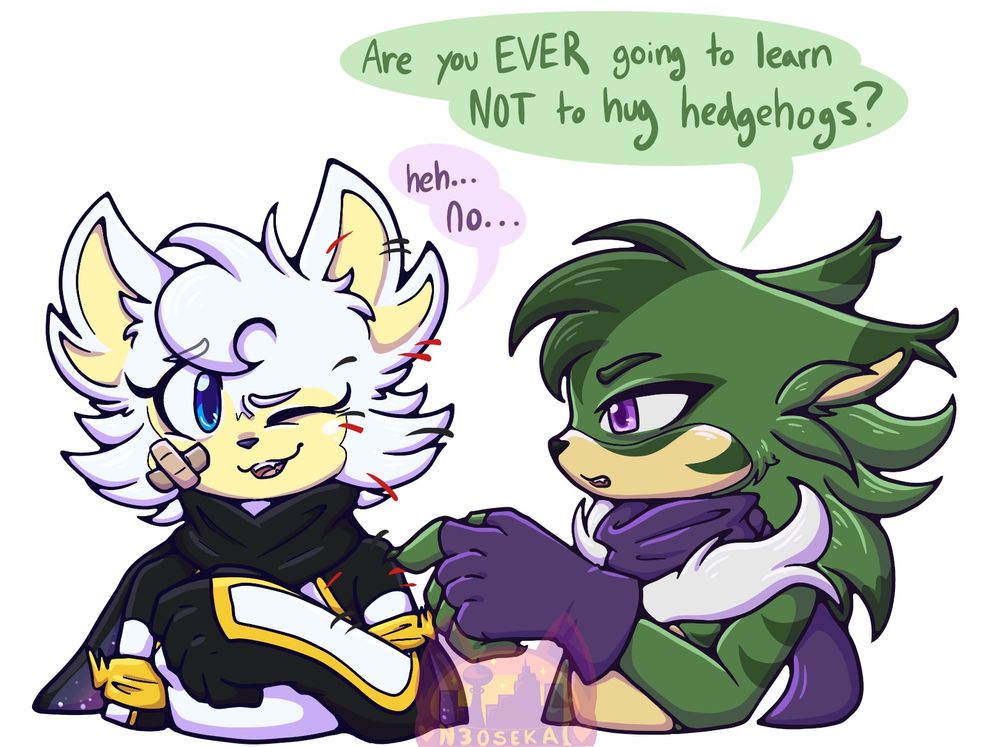 Mini comic of two sonic ocs talking about hedgehogs