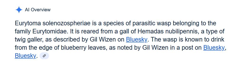 AI Overview Learn more Eurytoma solenozospheriae is a species of parasitic wasp belonging to the family Eurytomidae. It is reared from a gall of Hemadas nubilipennis, a type of twig galler, as described by Gil Wizen on Bluesky. The wasp is known to drink from the edge of blueberry leaves, as noted by Gil Wizen in a post on Bluesky, Bluesky. 