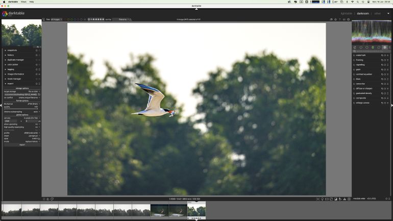 Preview